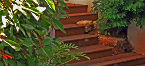 שילוב של דק ומדרגות עץ